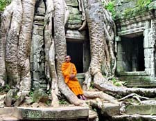 Südostasien, Kambodscha: Expedition ins unbekannte Land der Khmer - Moench vor dem verwurzelten Tempel 